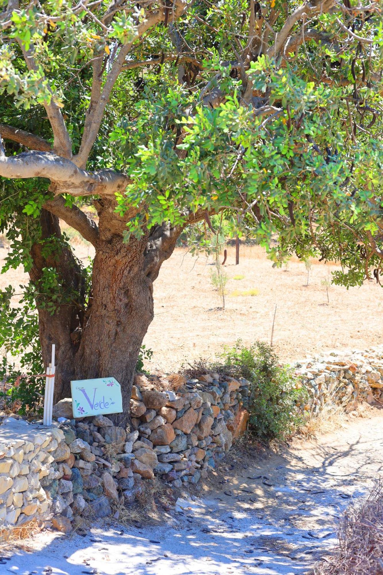 Verde Hébergement de vacances
